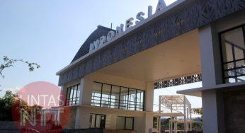 Pemegang Visa Diplomatik dan Dinas Tetap Melintas di Perbatasan RI-Timor Leste