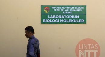 Tambah 9 Positif Korona di NTT: 6 Klaster Gowa, 3 Klaster STT