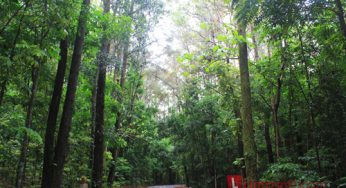 Cegah Karhutla, Taman Nasional Matalawa Bangun 12 Posko