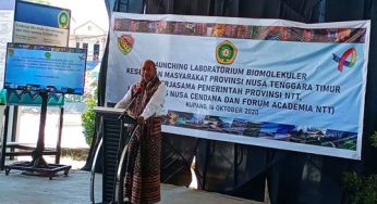 Gubernur Laiskodat Jual Obat Herbal, Terbukti Sembuhkan Pasien Covid-19