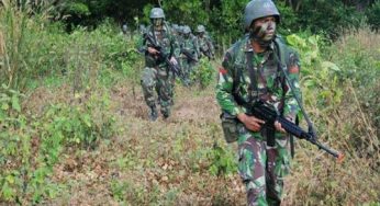 Komandan Teroris KKB Papua Tewas Ditembak