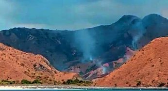 Tidak Ada Komodo di Dekat Lokasi Kebakaran
