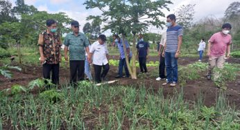 Tingkatkan Produktivitas, Petani Waikabubak Beralih dari Genzet ke Listrik PLN