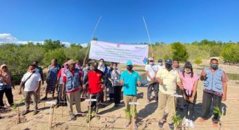 PLN UPK Flores-Dinas Lingkungan Hidup Sikka Tanam 2.000 Anakan Mangrove