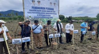 Gubernur Laiskodat Hadirkan Ekosistem Baru Pertanian yang Didukung Bank NTT