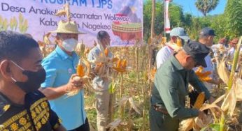 Membangun Spirit Bersama Bank NTT di Kaki Gunung Ebulobo