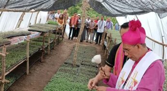 Dirut Bank NTT, Kepala OJK dan BI Tanam Perdana Tomat di Secred Farming OMK TTU