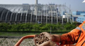 Lewat Co-Firing, 40 PLTU PLN Grup Mampu Turunkan Emisi Hingga 429 Ribu Ton CO2