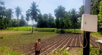 Beralih ke Pompa Listrik, Petani di Sumba Timur Hemat Biaya Hingga 30 Persen