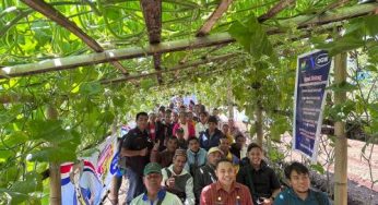 PLN UIP Nusra Gelar Pelatihan Hortikultura untuk Warga Sekitar PLTP Ulumbu di Poco Leok