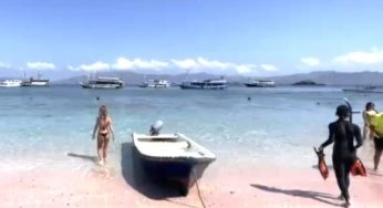 Terungkap, Sebelum Hilang di Long Pink Beach, Yi Liu Tidak Bersama Suami